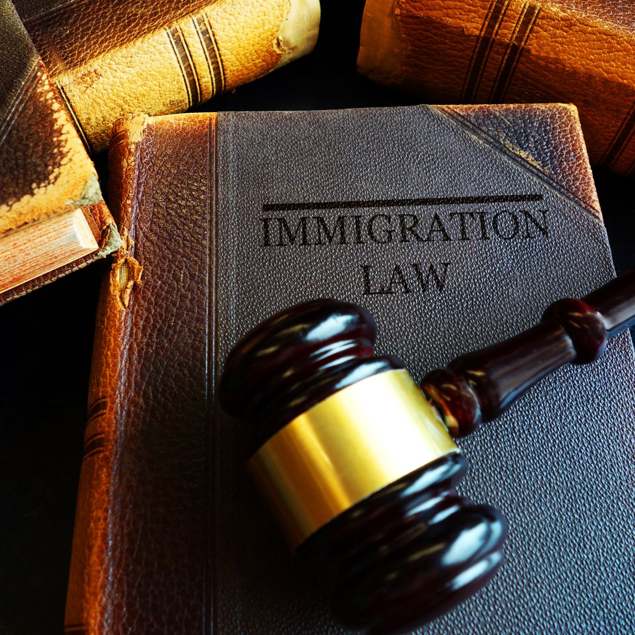 what is the new law for immigration in 2023
